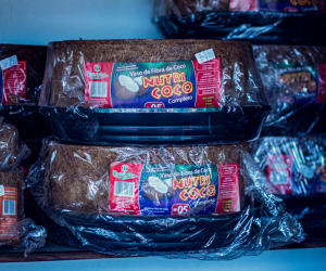 Vaso de Fibra de Coco