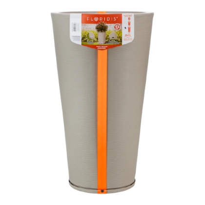 image-removebg-preview (7)